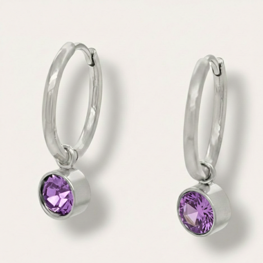 The Birthstone Drop Huggies - Stainless Steel